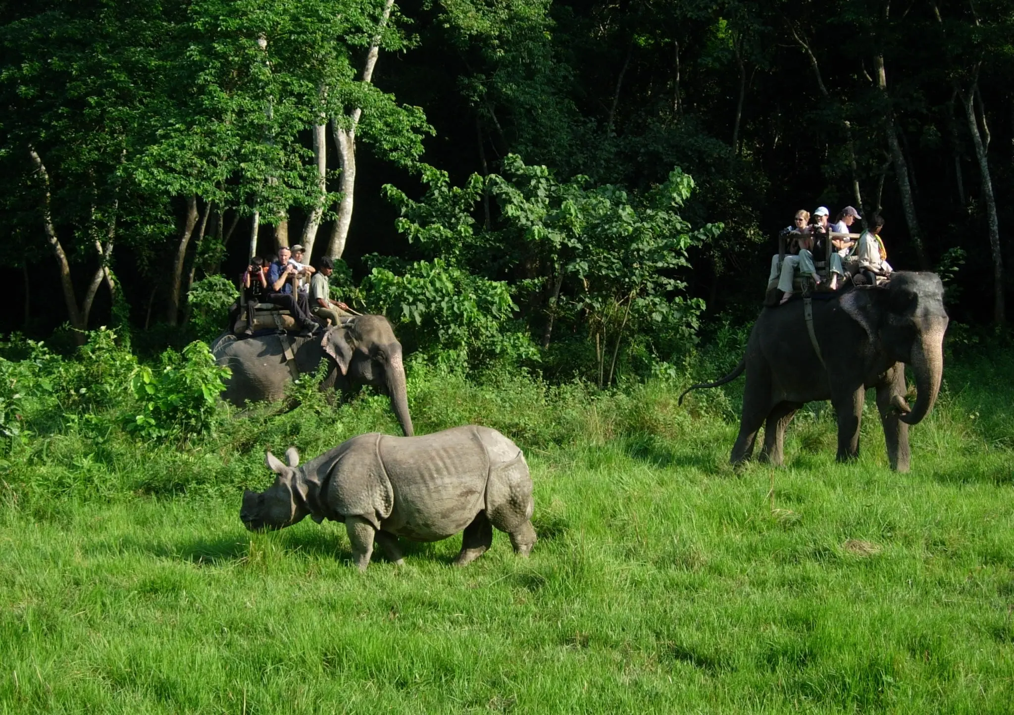 1 night 2 days Chitwan National Park Jungle Safari Tour