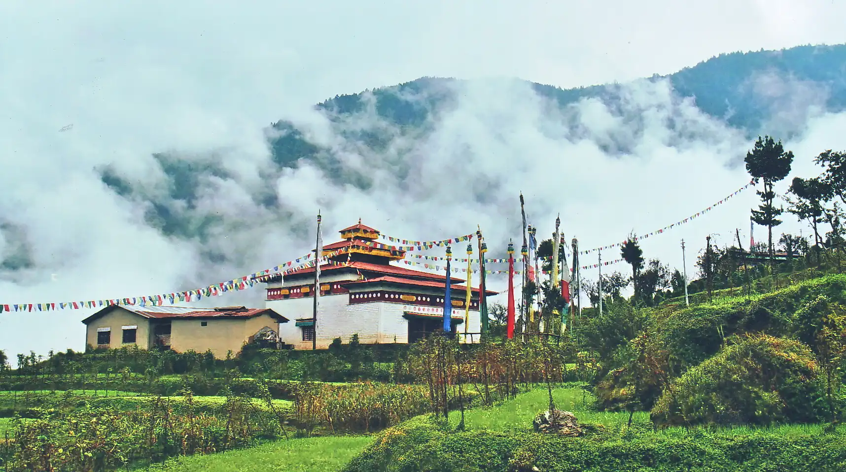 Helambu Gosainkunda Trekking