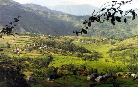 Shivapuri Day Hiking excursion